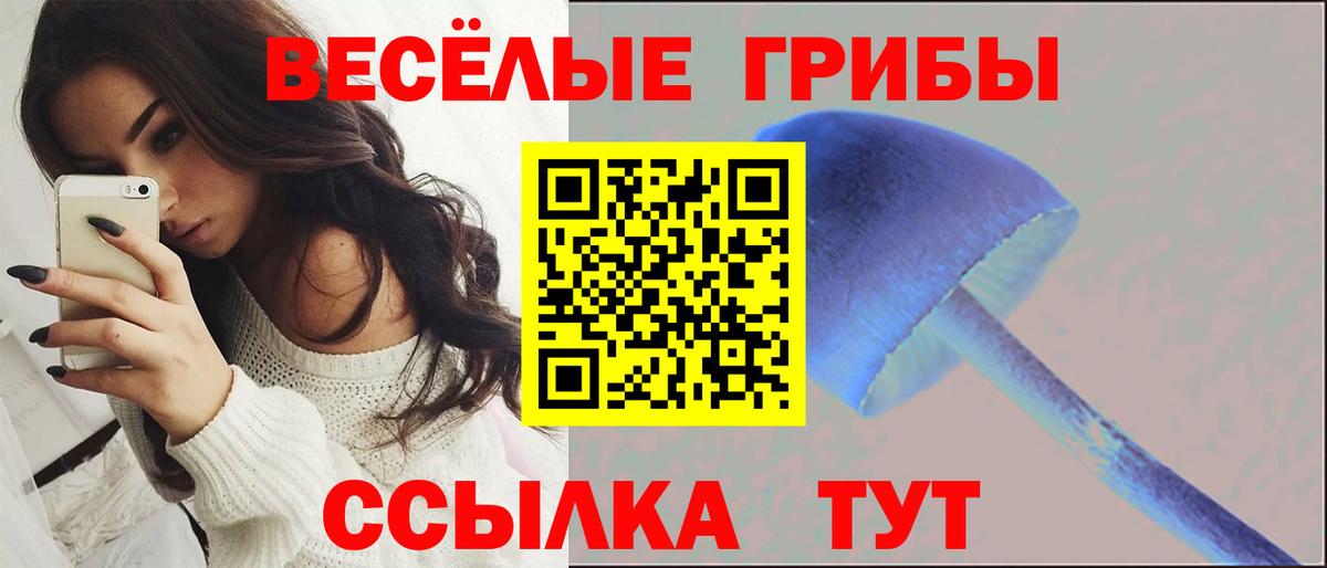 Псилоцибиновые грибы Psilocybe  Вход с VPN  Галлюциногенные грибы MAGIC MUSHROOMS  Лангепас 
